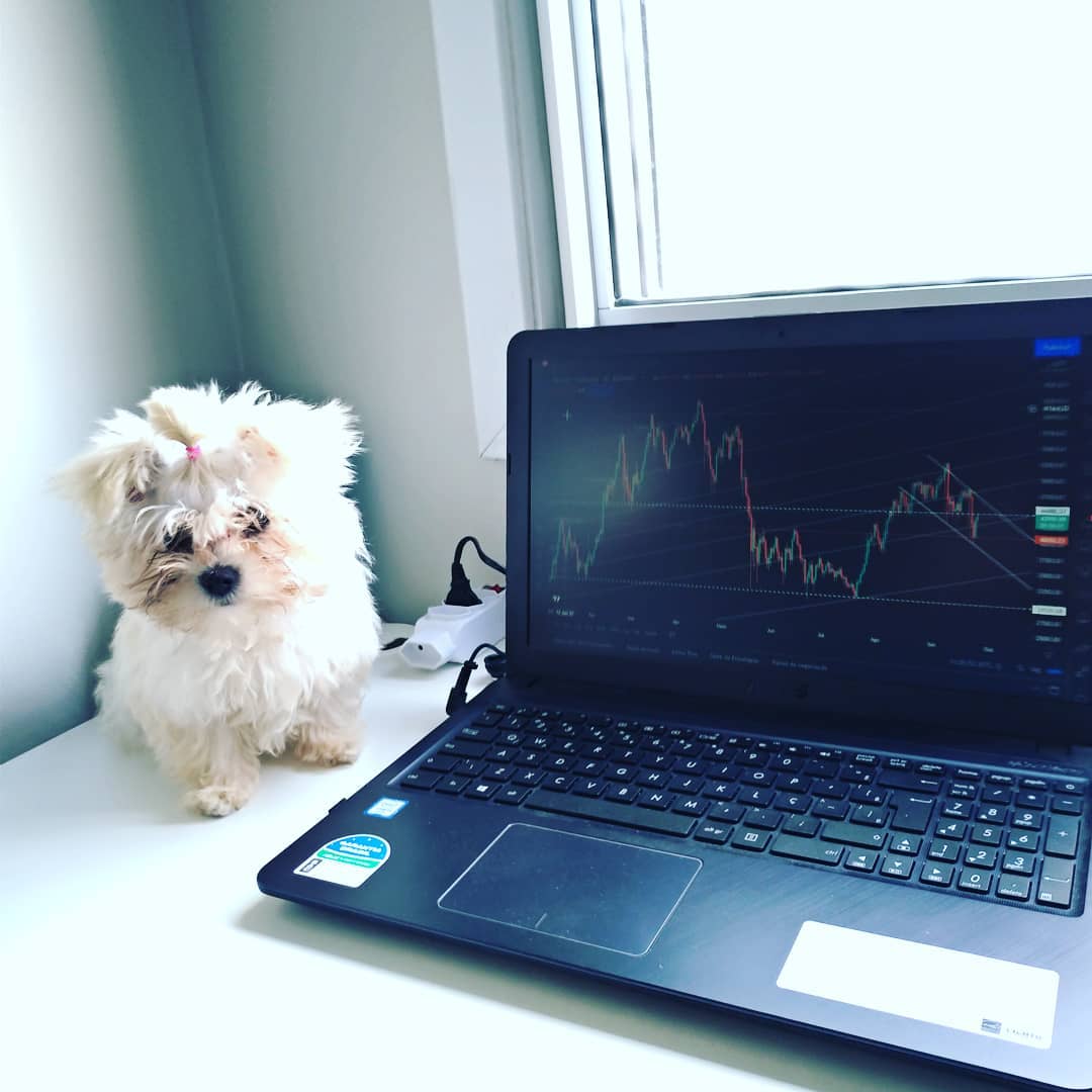 TradingView Chart on Instagram @ocasalinveste